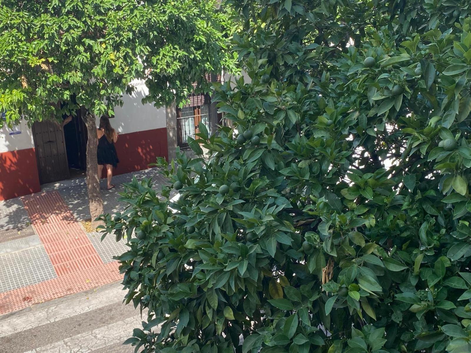 La Escalerita Διαμέρισμα Κόρδοβα Εξωτερικό φωτογραφία